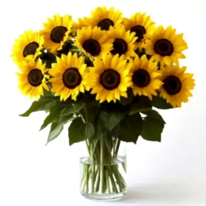 Sunflower Bouquet Delivery
