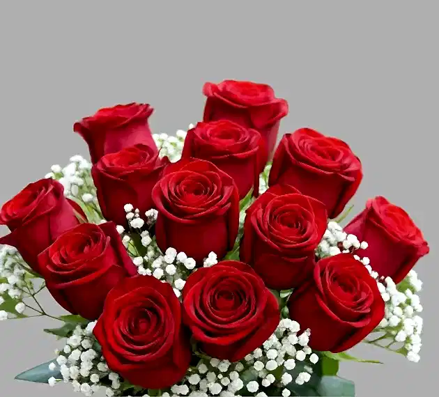12 Red Roses and Gypsophila Bouquet Delivery