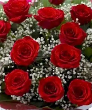 Luxury 18 kisses Red Roses bouquet next day delivery, Luxury 12 kisses Red Roses bouquet next day delivery, Luxury 24 kisses Red Roses bouquet next day delivery Save 10%