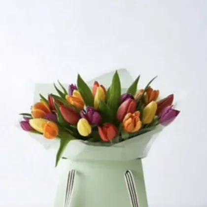 Multicolored tulip bouquet Gift bag