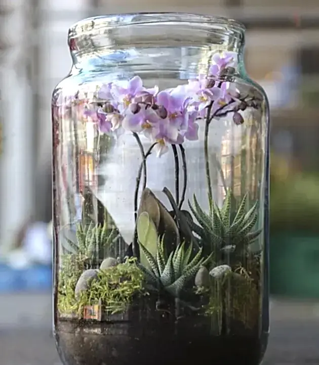 Terrarium Workshop