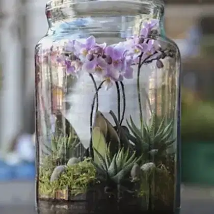 Terrarium Workshop