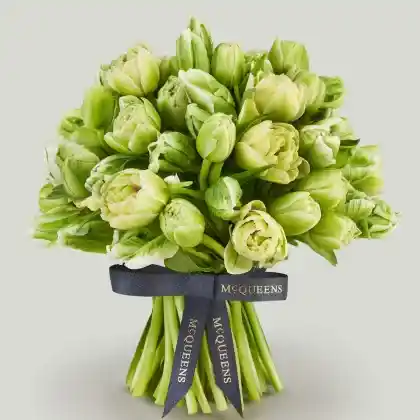 Green Parrot Tulip Bouquet