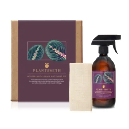 Flora Houseplant Cleanse and Shine Gift Set