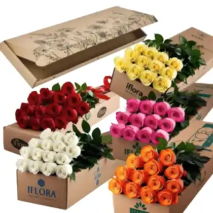 12 stems  Pink,  Orange, Red , White, Roses in a iflora branded cardboard box. The roses will be placed on top of the long cardboard. The cardboard will be 5 feet long and 2 feet wide.