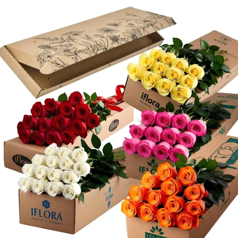 12 stems  Pink,  Orange, Red , White, Roses in a iflora branded cardboard box. The roses will be placed on top of the long cardboard. The cardboard will be 5 feet long and 2 feet wide.