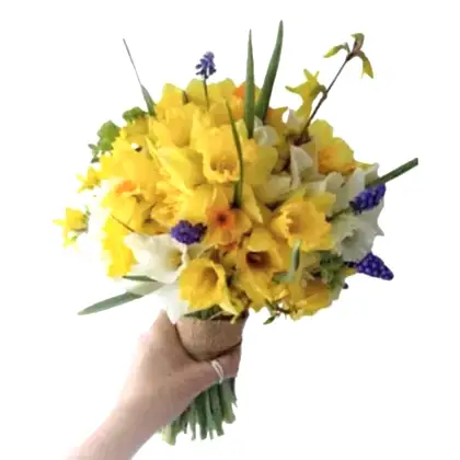daffodil bouquet , daffodil bouquet flowers , daffodils bouquet , daffodil bouquet delivery uk ,