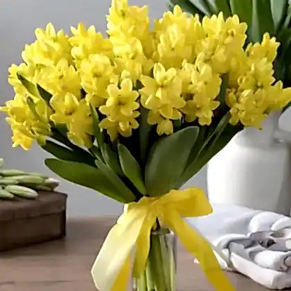 Yellow Hyacinth Mother’s Day Flowers Delivery – Fresh & Vibrant Bouquet
