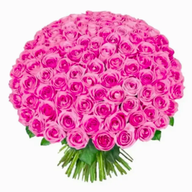 Luxurious 100 pink roses bouquet on sale, perfect for a grand celebration.
